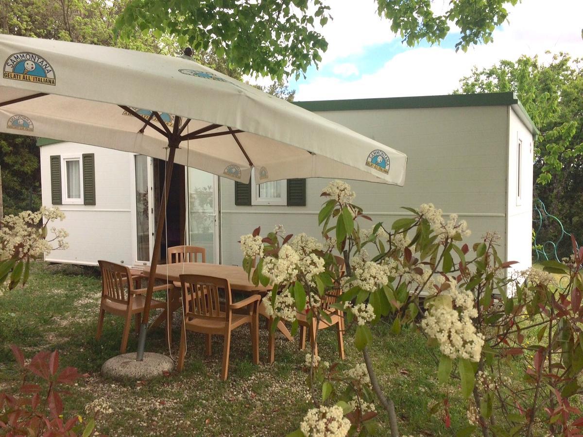 Camping Le Soline Casciano Di Murlo Номер фото
