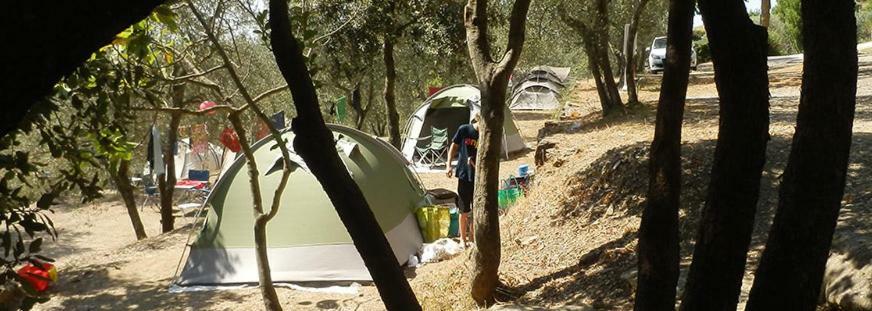Camping Le Soline Casciano Di Murlo Экстерьер фото